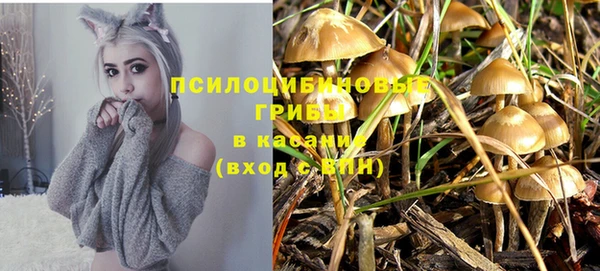 гидропоника Дмитров