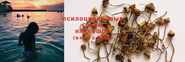 mix Гусь-Хрустальный